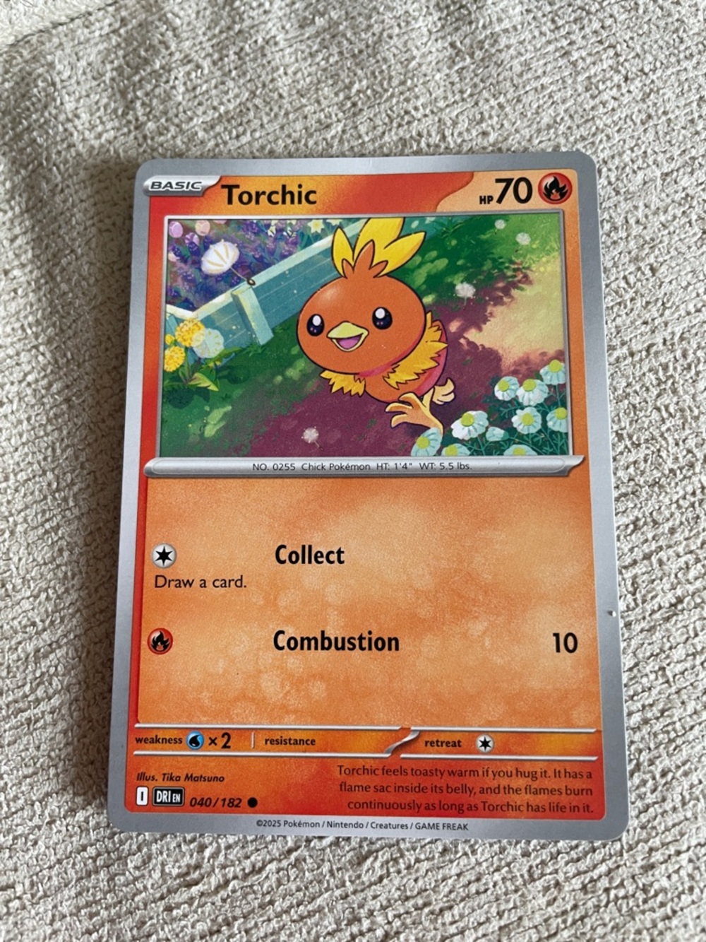Torchic Pokémon Card